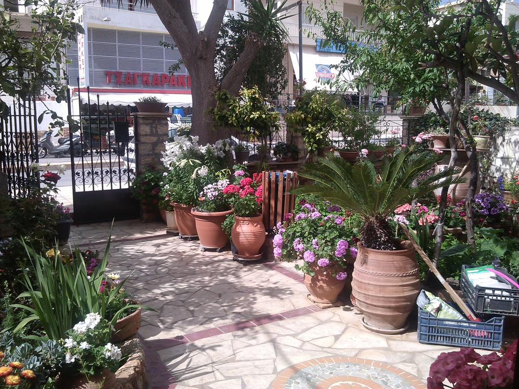 Eleni Appartement *